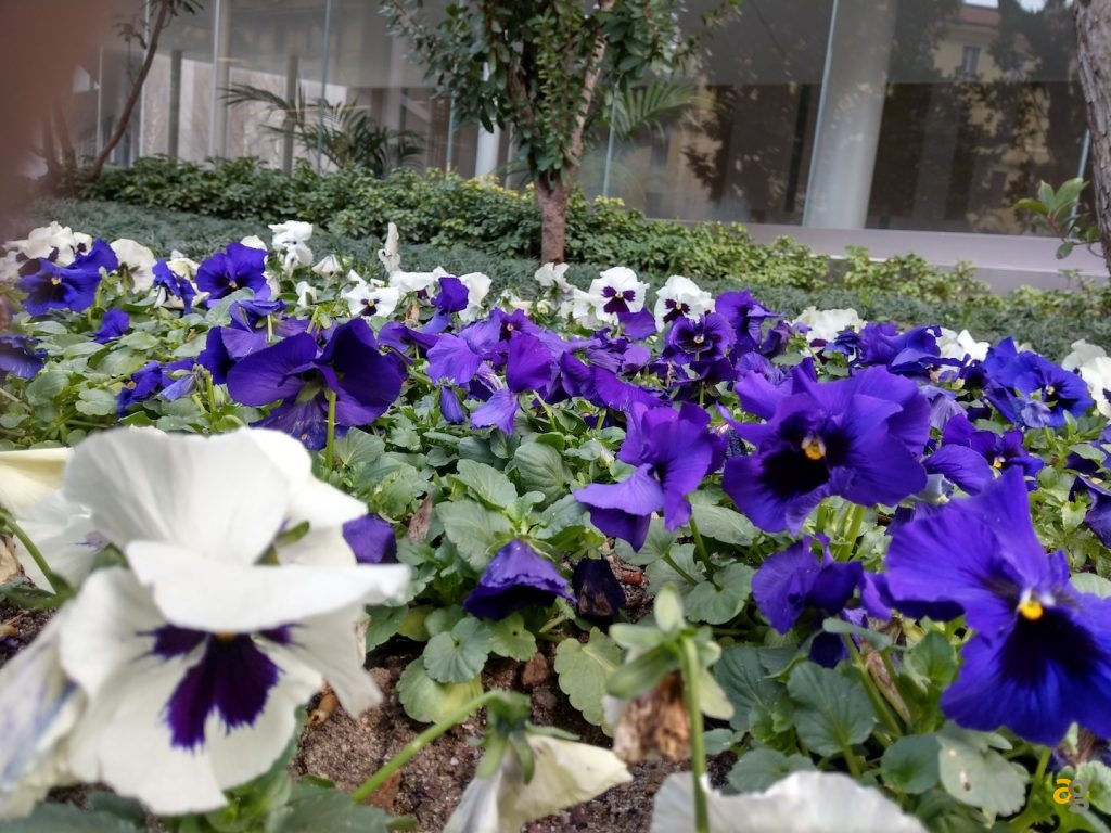 recensione-htc-u11-plus