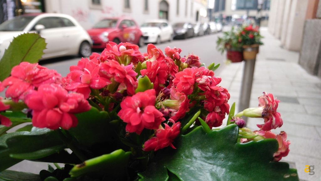 recensione-sony-xperia-xa2