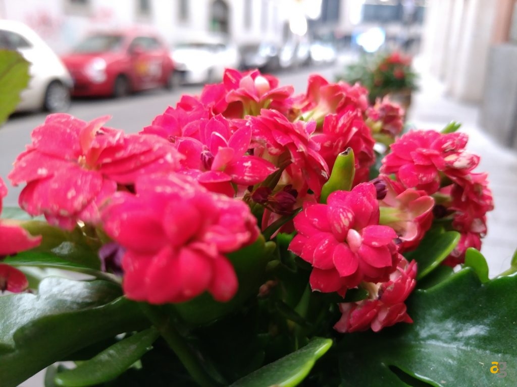 recensione-zte-axon-m-doppio-display