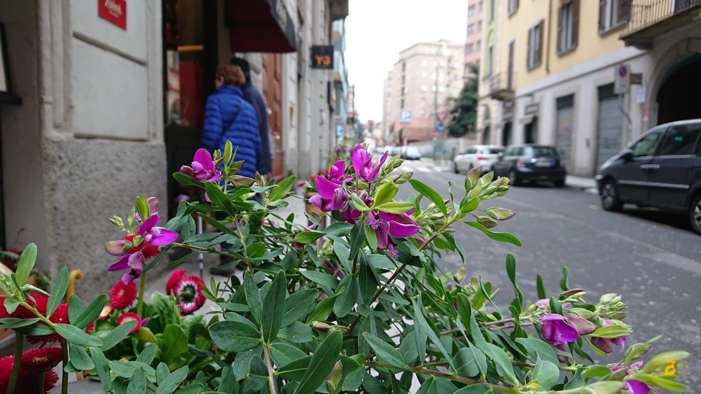 recensione-sony-xz2-compact