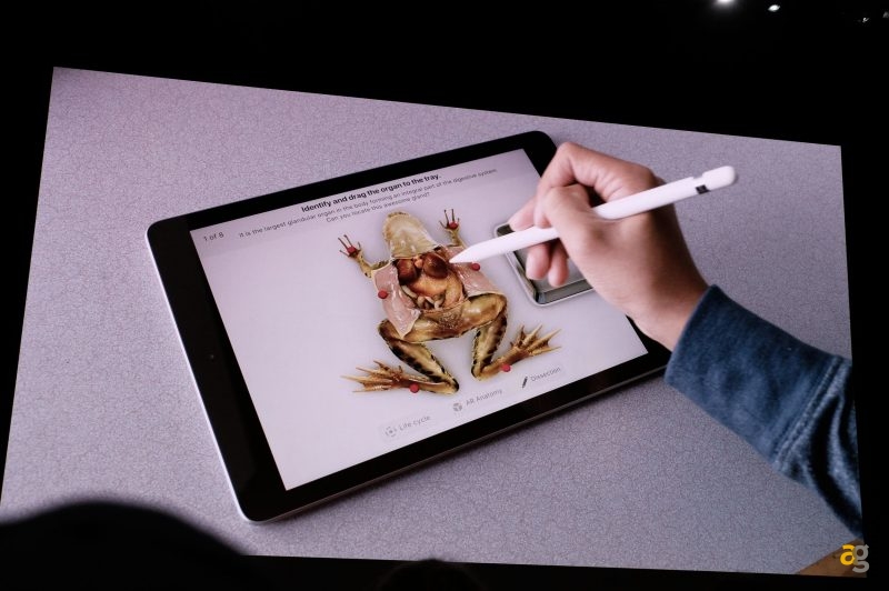 apple-ipad-pencil-359