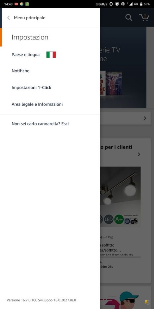 amazon-usa-shopping-experience