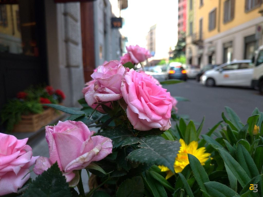 confronto-galaxy-a8-zenfone-5-nokia-7-plus-huawei-p20-lite