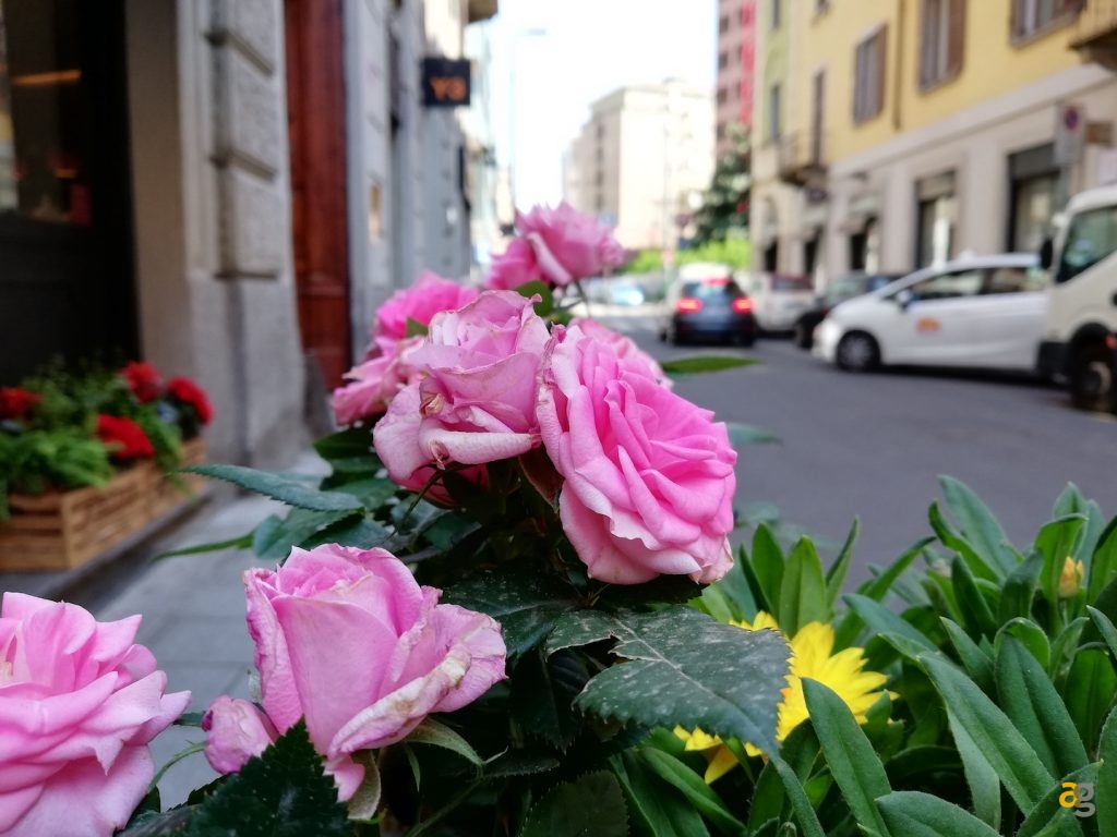 confronto-galaxy-a8-zenfone-5-nokia-7-plus-huawei-p20-lite