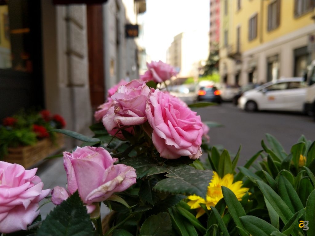 confronto-galaxy-a8-zenfone-5-nokia-7-plus-huawei-p20-lite