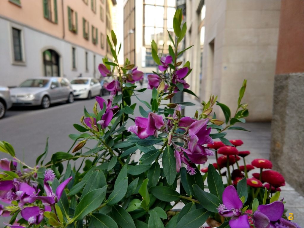 recensione-motorola-x4