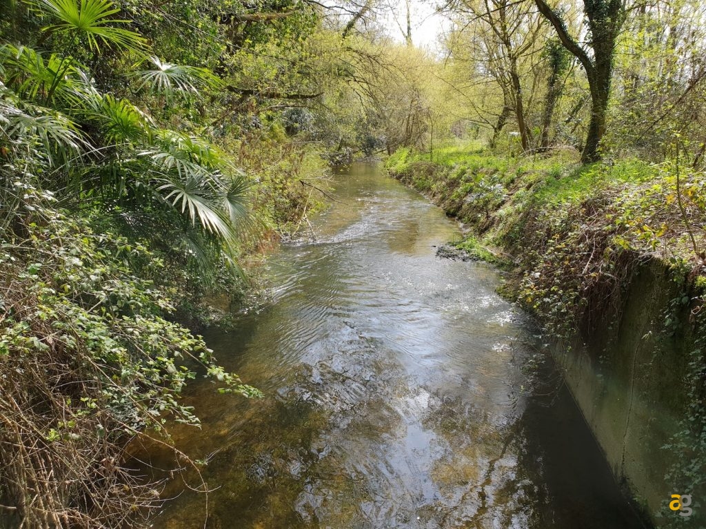 recensione-samsung-galaxy-s9-confronto-s9