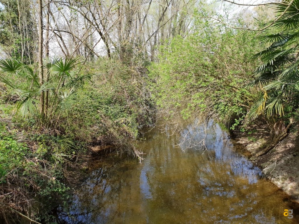 recensione-samsung-galaxy-s9-confronto-s9