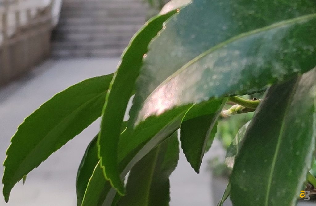 xiaomi-mi-mix-2s-foto