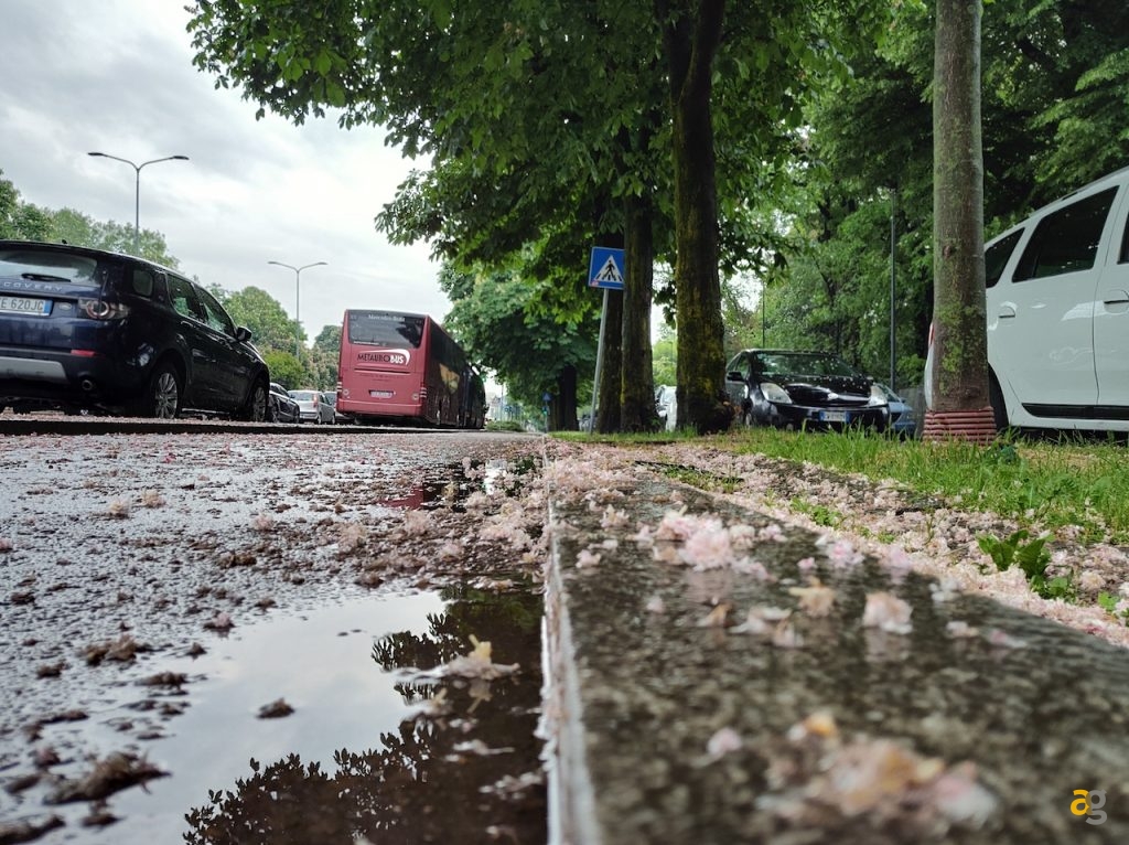 recensione-xiaomi-black-shark