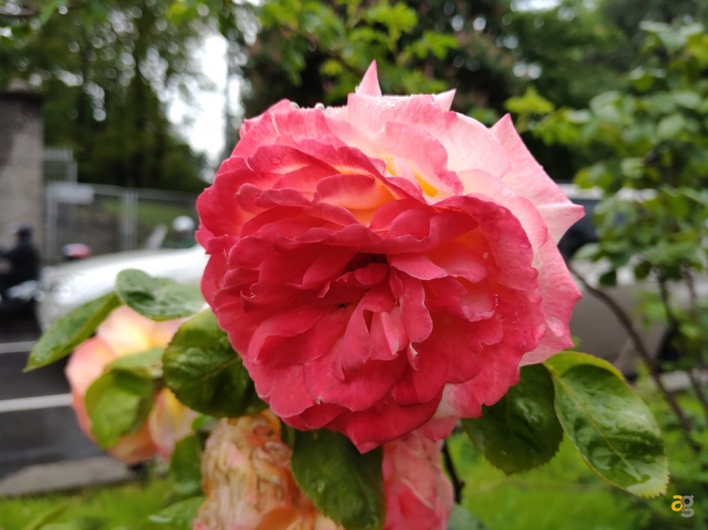 recensione-xiaomi-black-shark