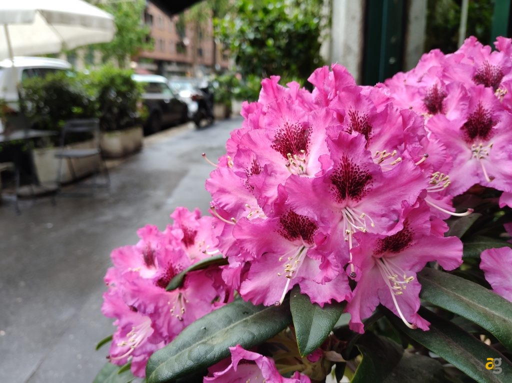 recensione-xiaomi-black-shark