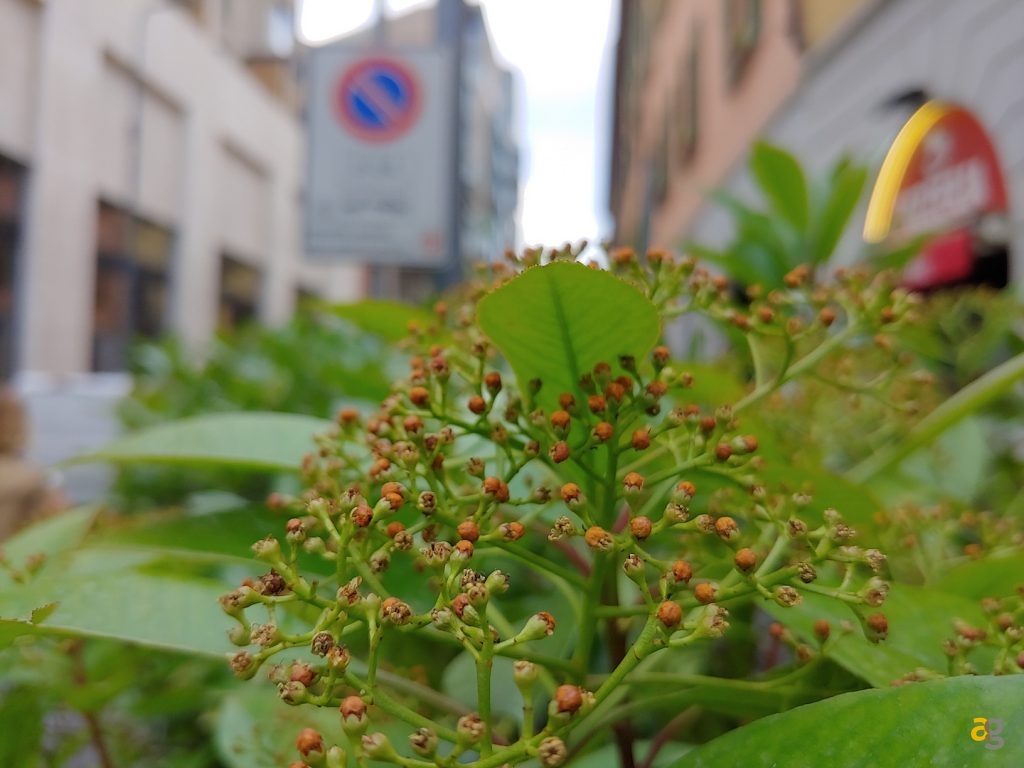 recensione-lg-g7-thinq