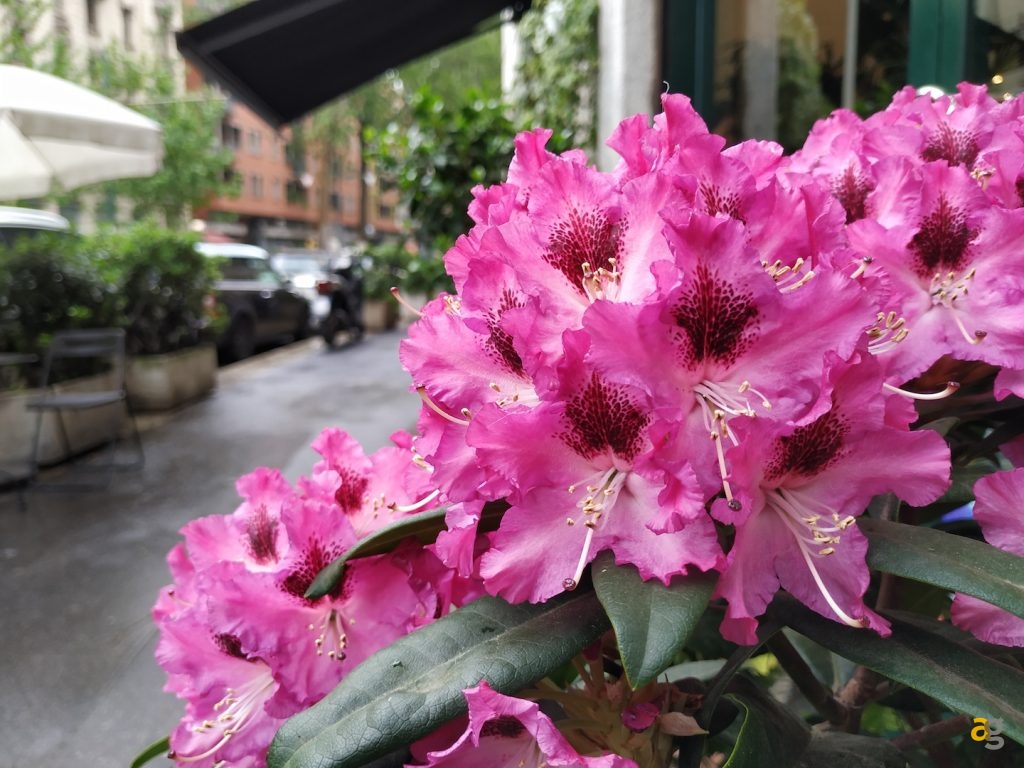 recensione-xiaomi-mi6x