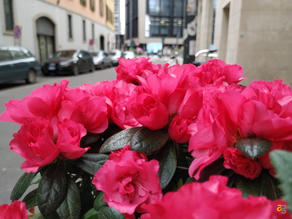 recensione-xiaomi-mi6x