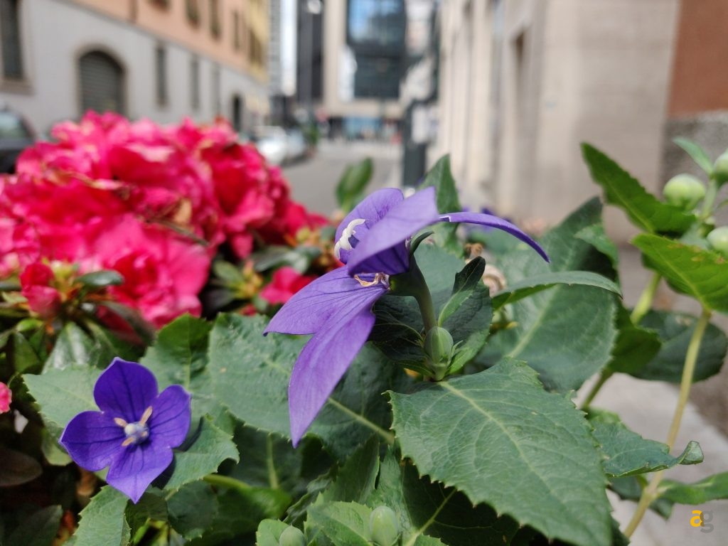 recensione-oneplus-6