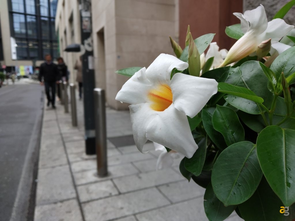 recensione-xiaomi-redmi-s2