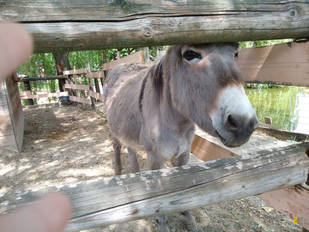 recensione-motorola-moto-g6