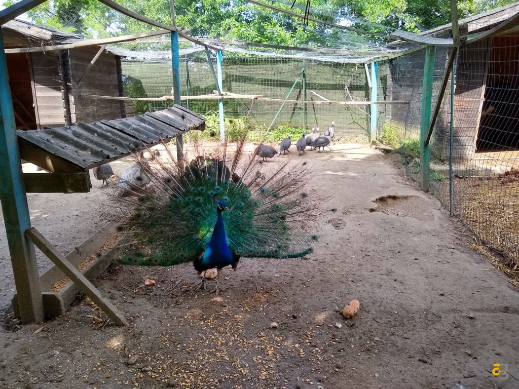 recensione-motorola-moto-g6