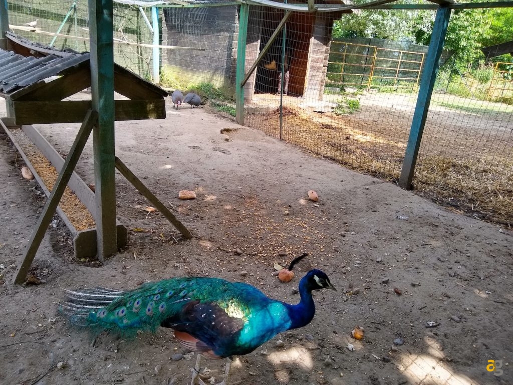 recensione-motorola-moto-g6