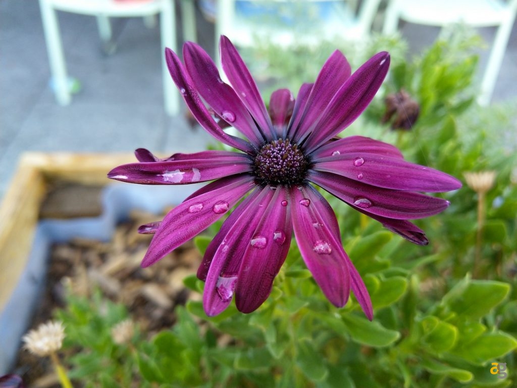 recensione-nokia-8-sirocco