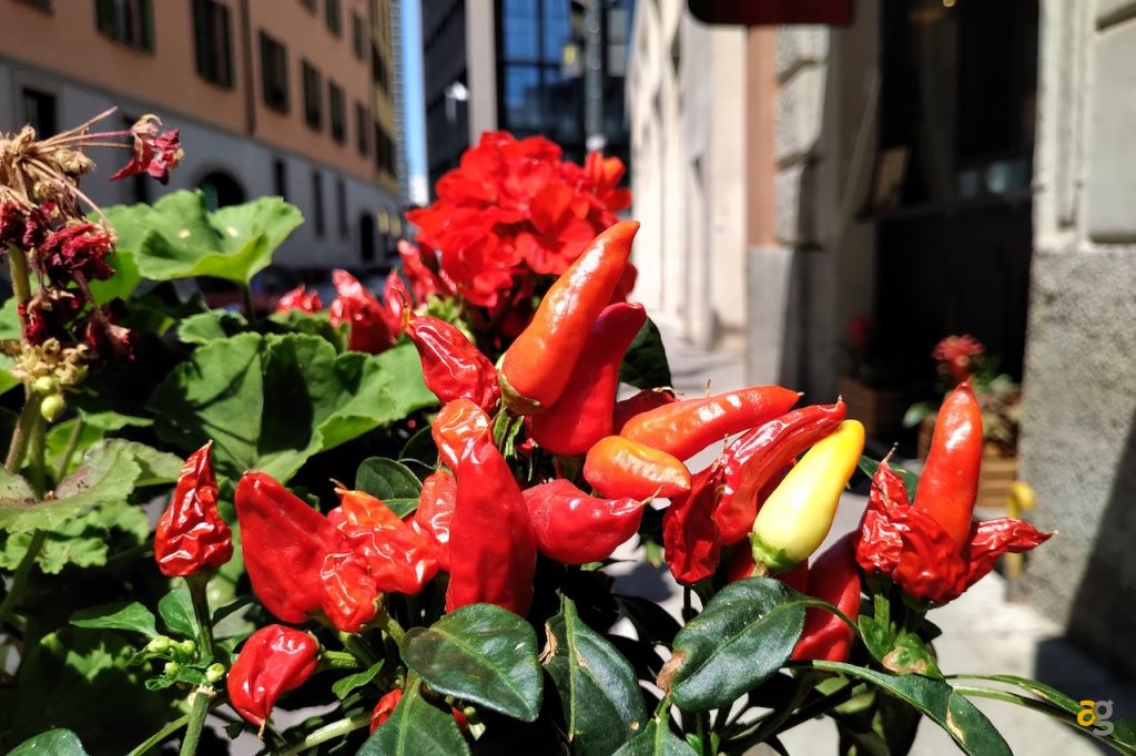 recensione-blackberry-key-2