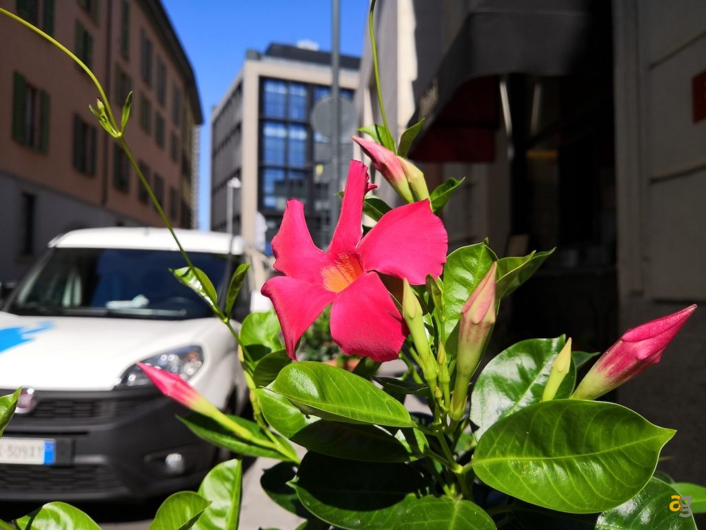 pocophone-f1-contro-tutti-confronto-medi-gamma-e-non-solo