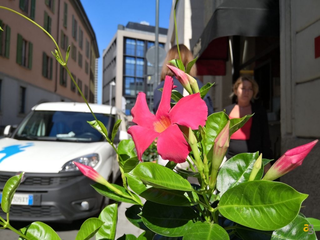 pocophone-f1-contro-tutti-confronto-medi-gamma-e-non-solo