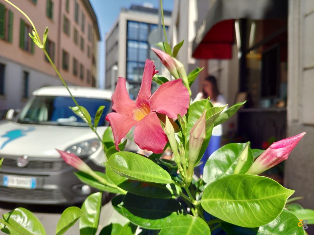 pocophone-f1-contro-tutti-confronto-medi-gamma-e-non-solo