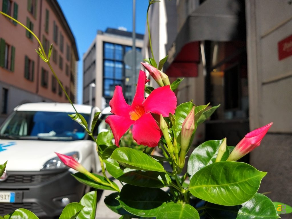 pocophone-f1-contro-tutti-confronto-medi-gamma-e-non-solo