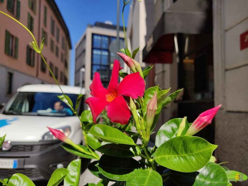 pocophone-f1-contro-tutti-confronto-medi-gamma-e-non-solo