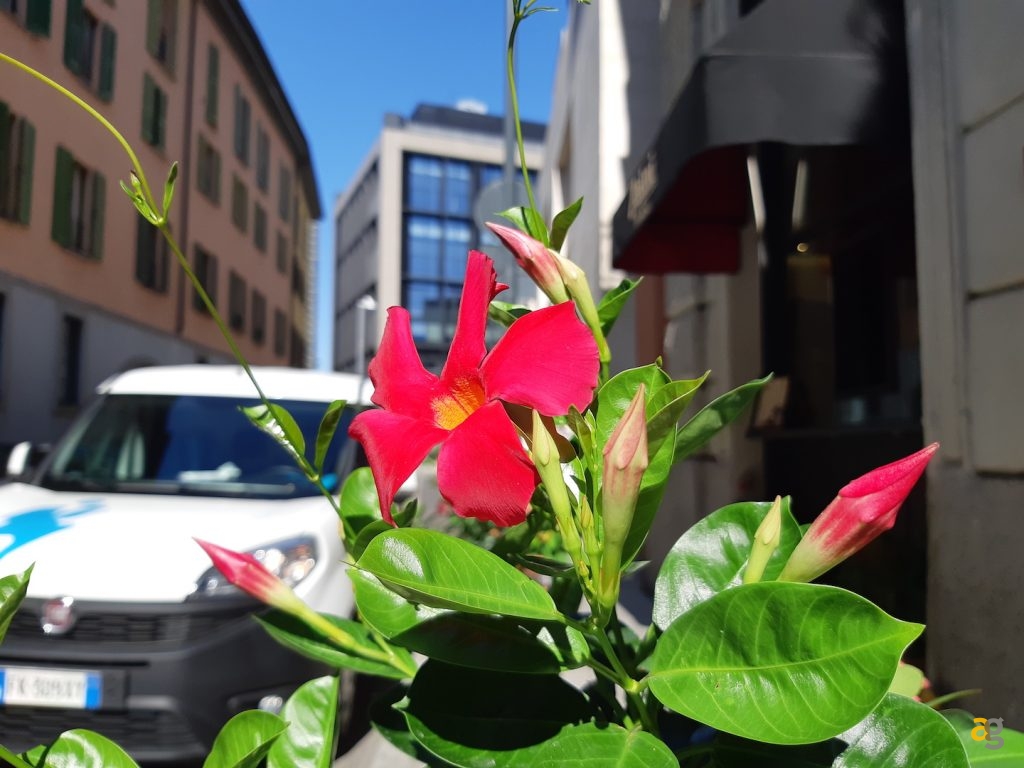 pocophone-f1-contro-tutti-confronto-medi-gamma-e-non-solo