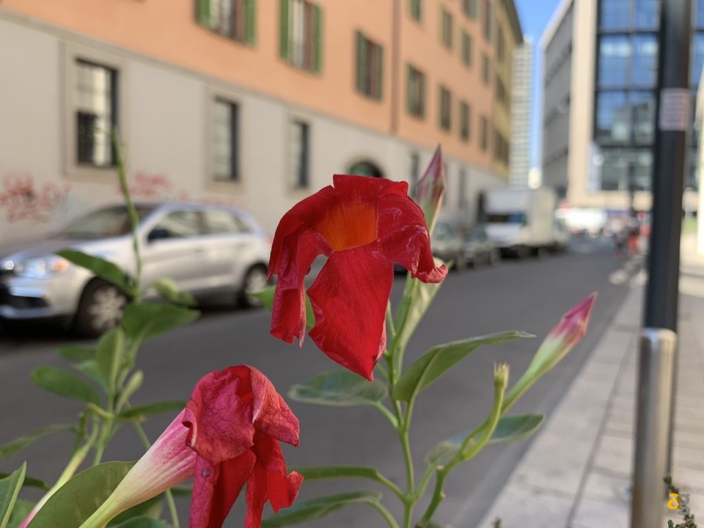 confronto-iphone-xs-max-vs-galaxy-s9-plus