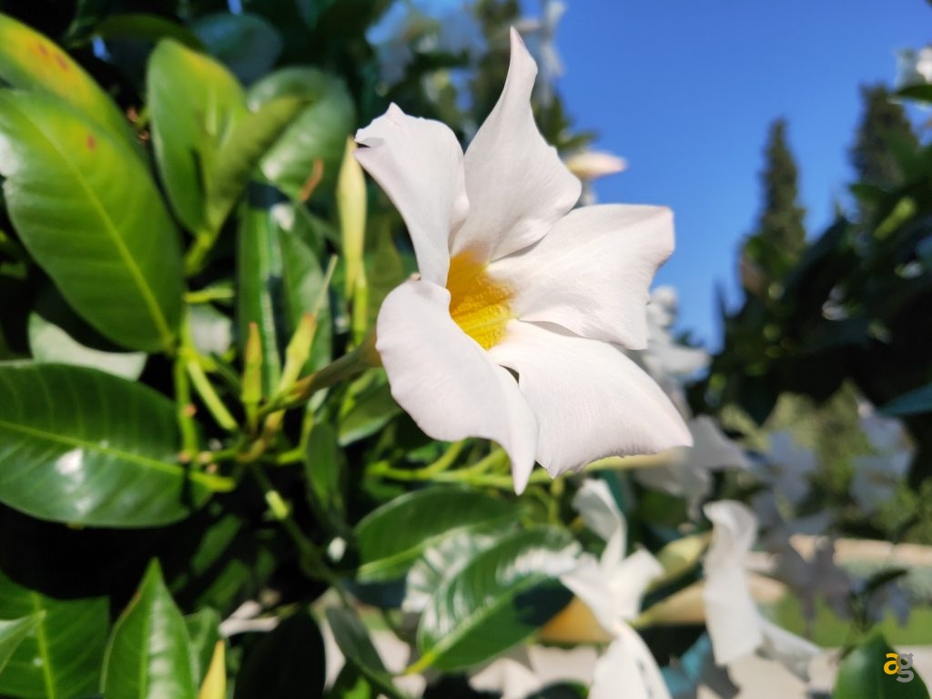 recensione-oppo-find-x