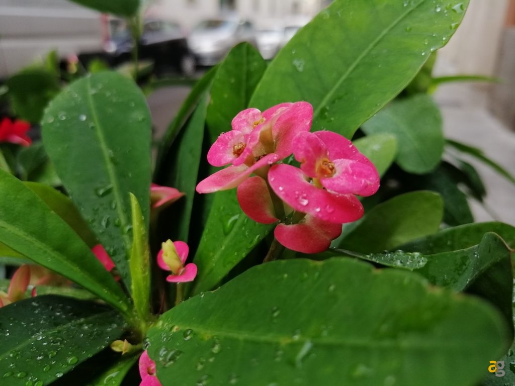 recensione-huawei-mate-20-lite