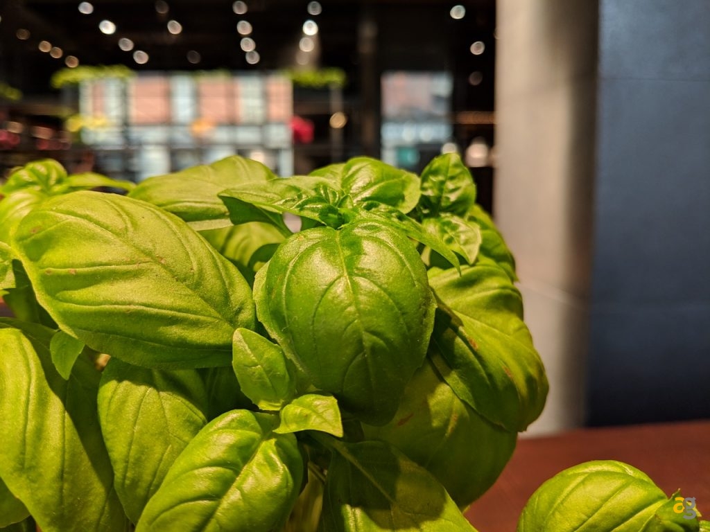 recensione-pixel-3-google