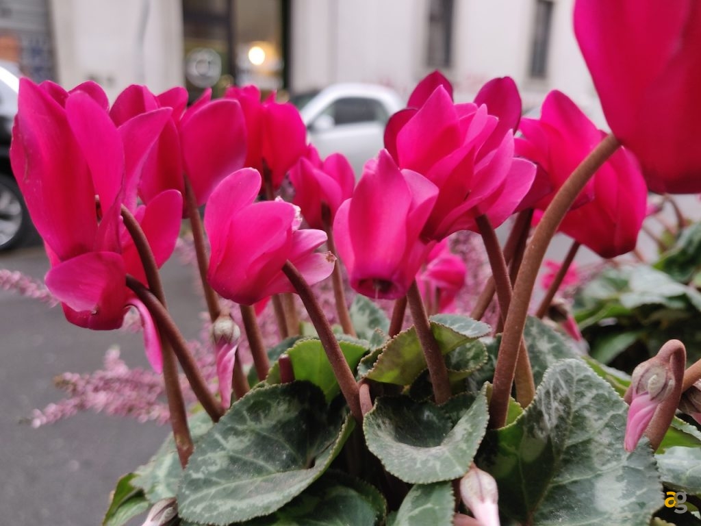 recensione-oneplus-6t