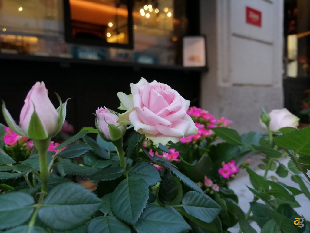 confronto-huawei-mate-20-lite-psmart-plus-honor-play-10-view-10-lite