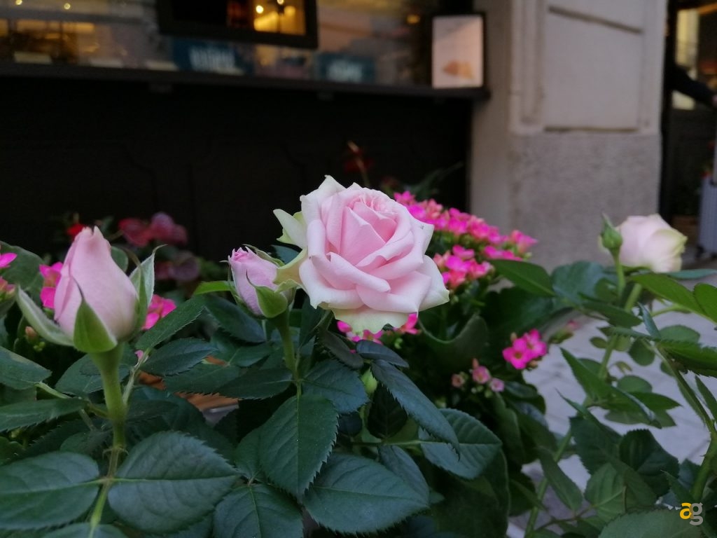 confronto-huawei-mate-20-lite-psmart-plus-honor-play-10-view-10-lite