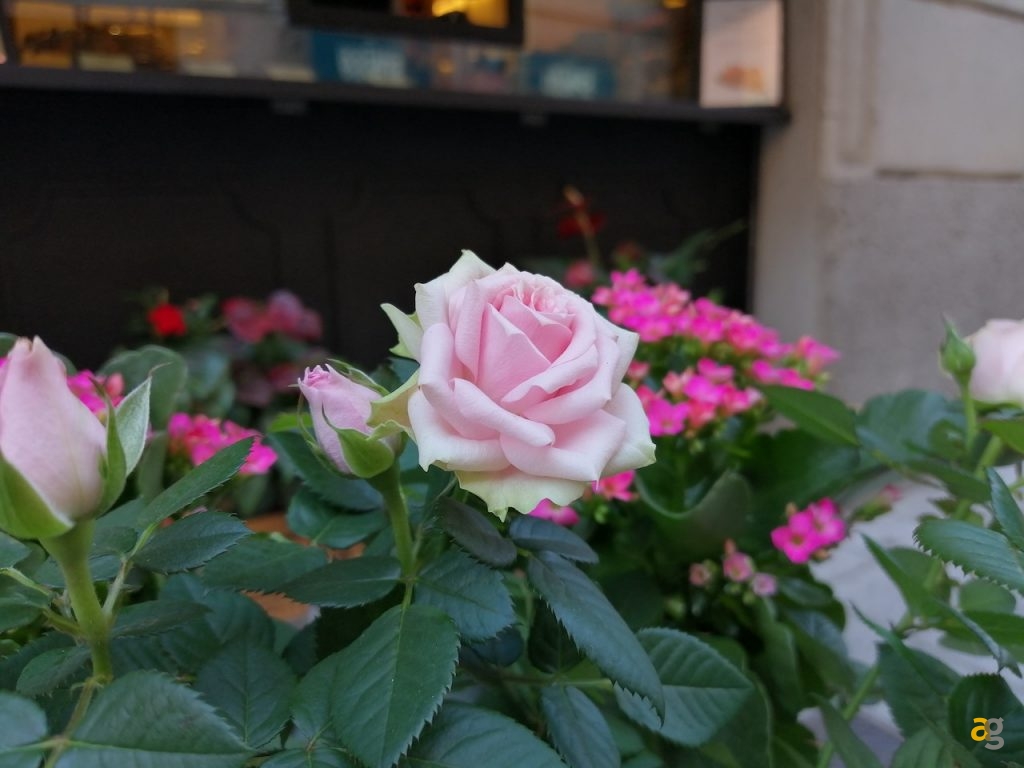 recensione-honor-view-10-lite