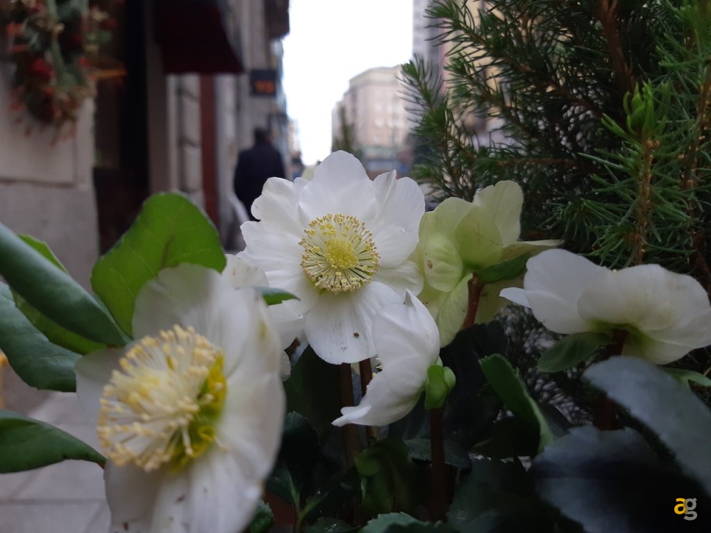 confronto-galaxy-a9-a8-e-a7-quale-comprare