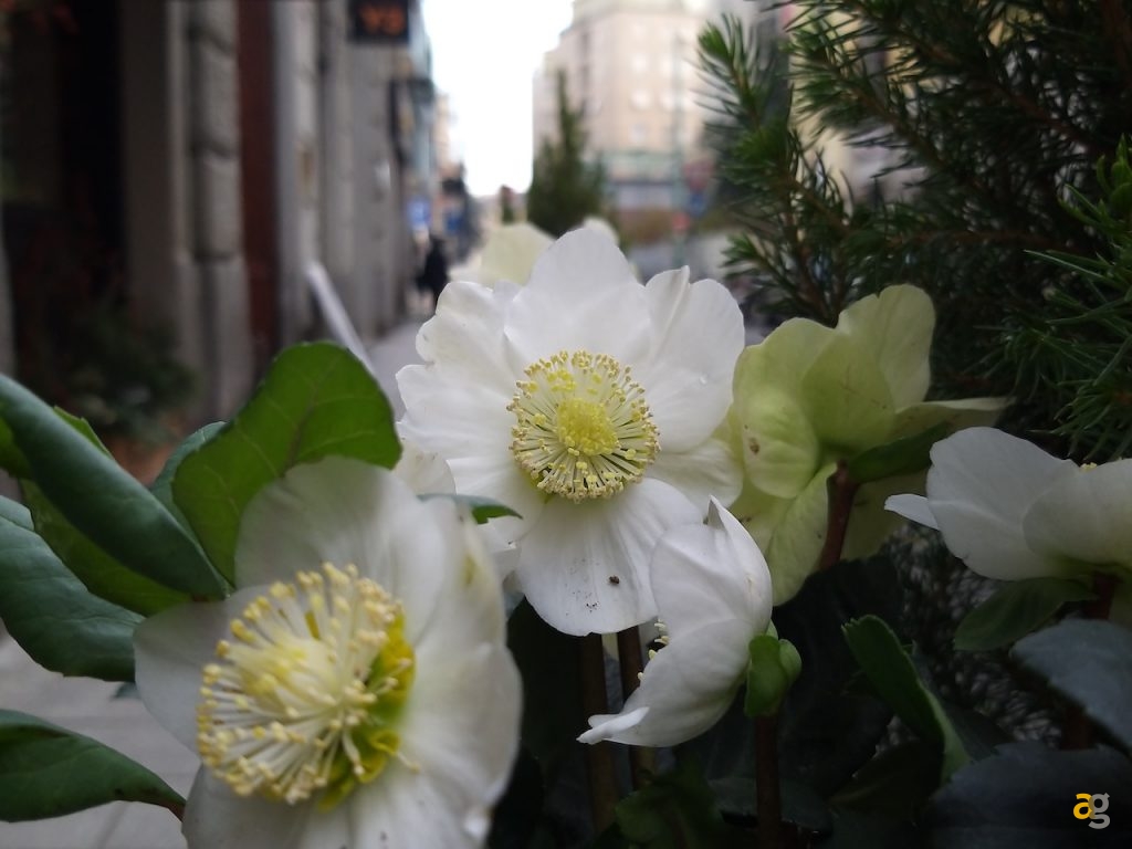 confronto-galaxy-a9-a8-e-a7-quale-comprare