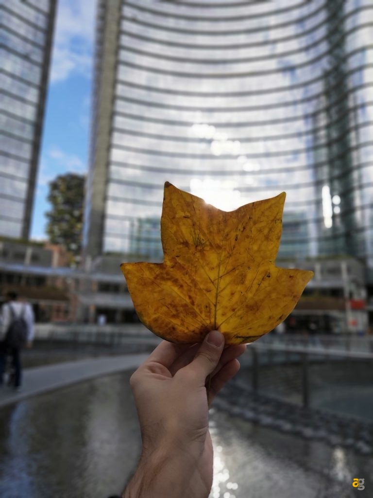 confrontone-fotografico-fine-2018