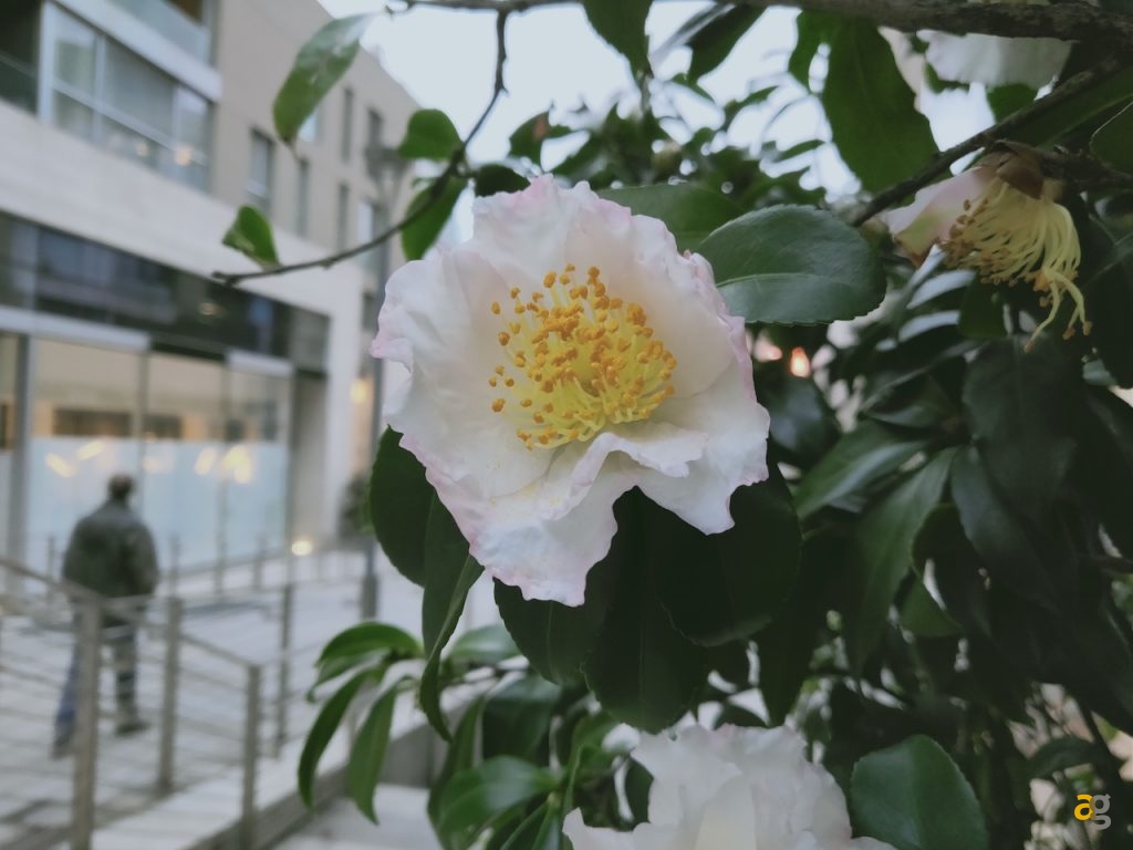 confrontone-fotografico-fine-2018