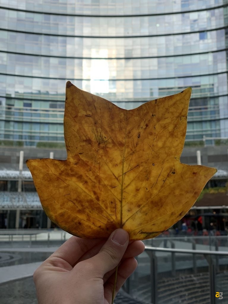 confrontone-fotografico-fine-2018