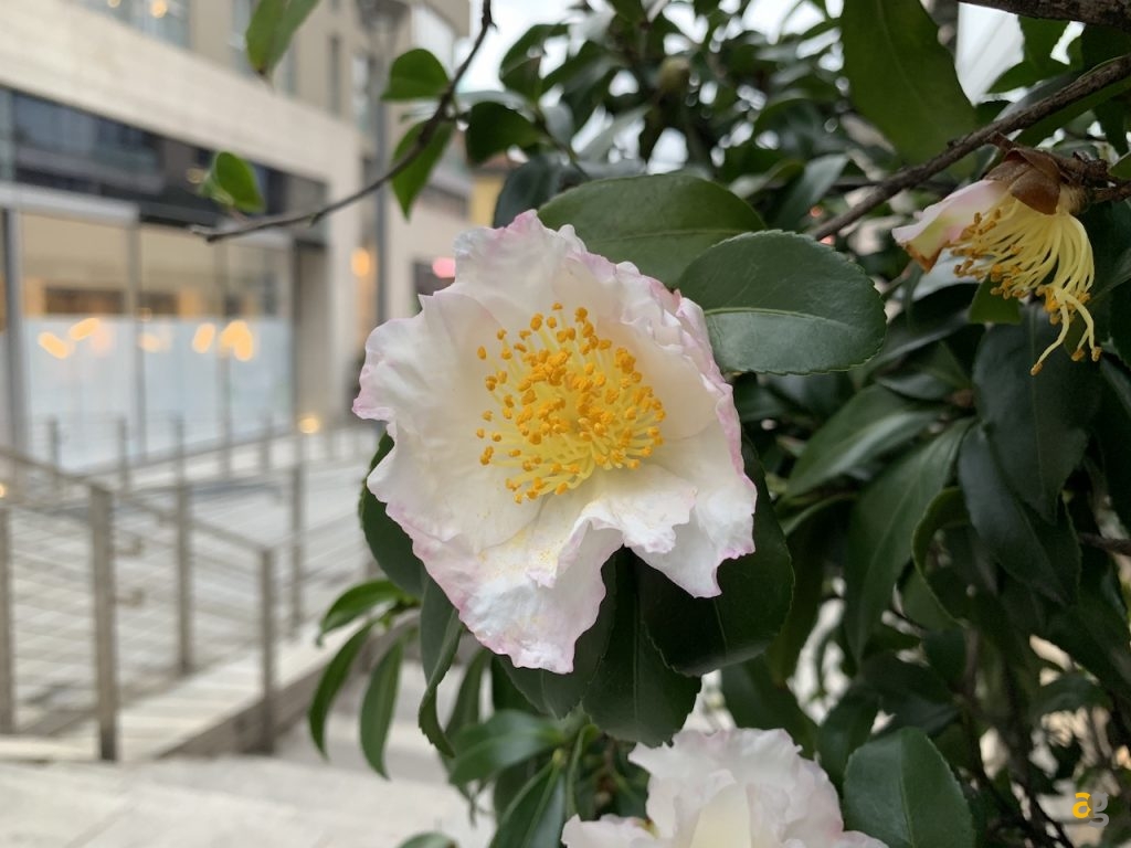 confrontone-fotografico-fine-2018