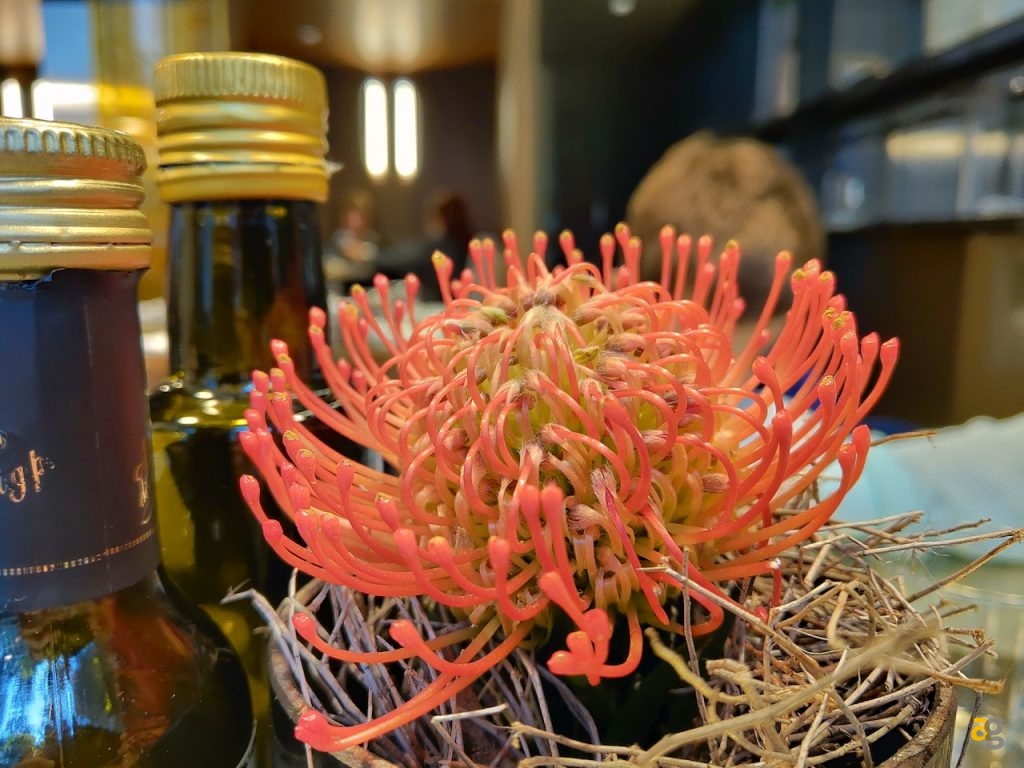 recensione-razer-phone-2