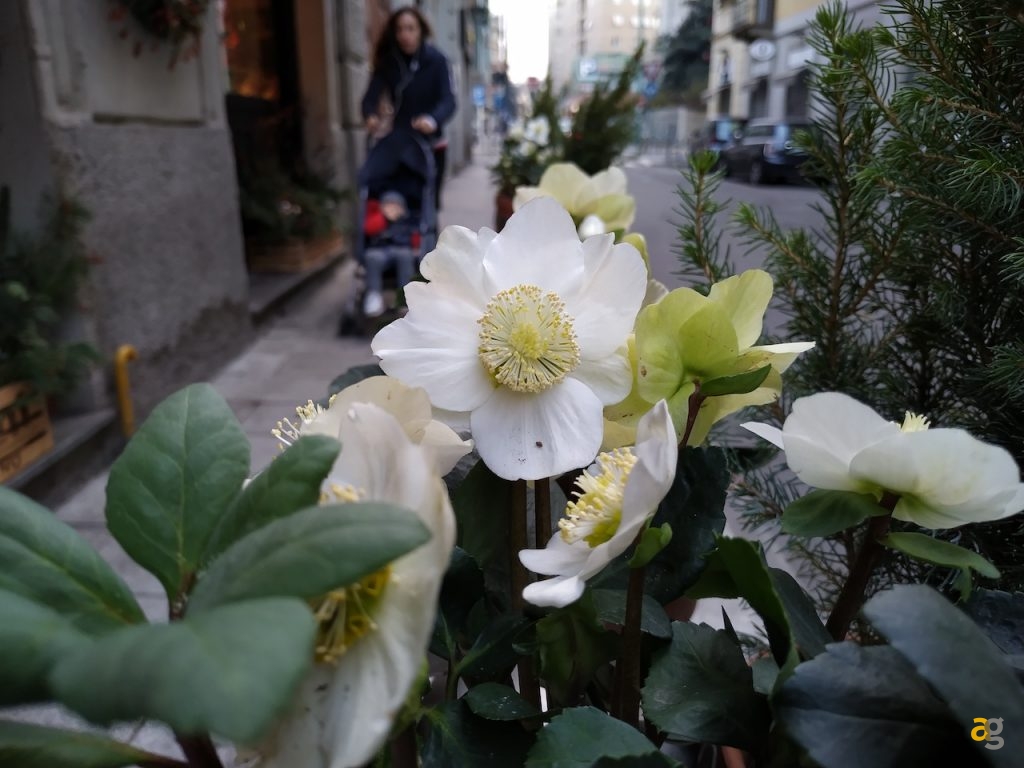 recensione-xiaomi-mi8-lite