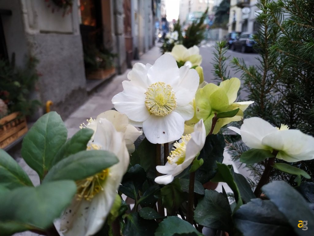 recensione-xiaomi-mi8-lite