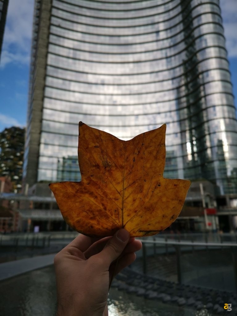 confrontone-fotografico-fine-2018